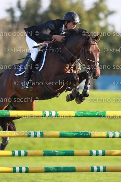 BRESCIANI_LARON_GIO CAV 2011_SS3_7944.jpg